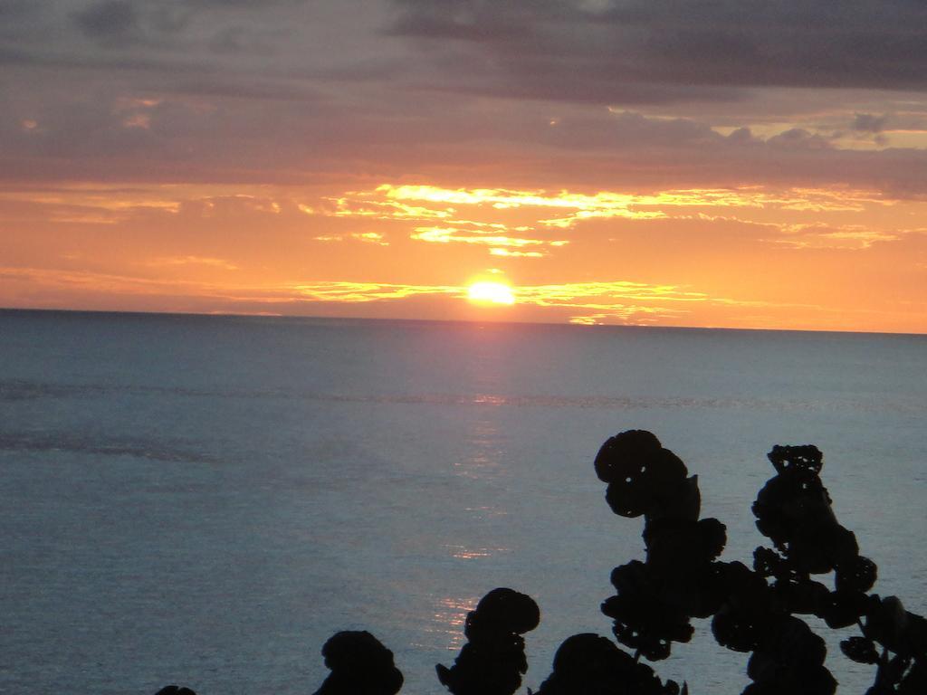 Kudehya Guesthouse Treasure Beach Dış mekan fotoğraf