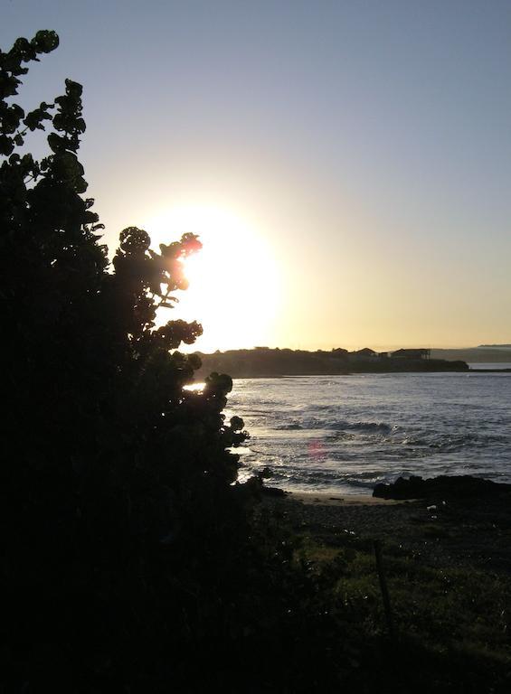 Kudehya Guesthouse Treasure Beach Dış mekan fotoğraf