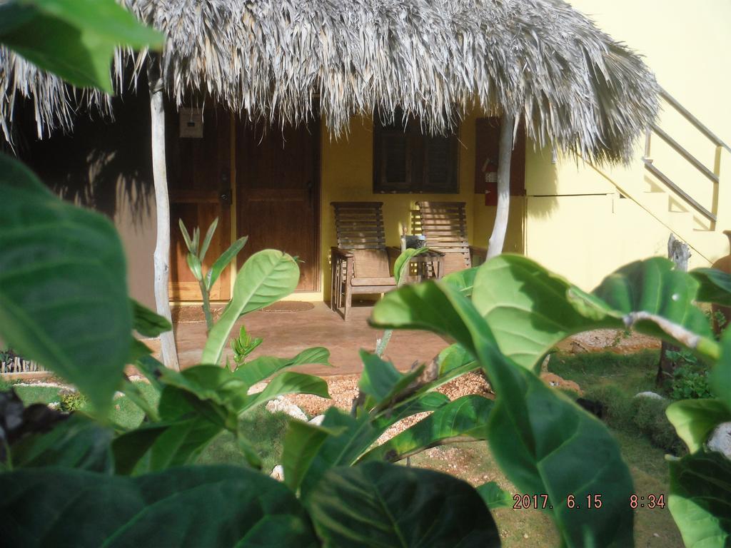 Kudehya Guesthouse Treasure Beach Dış mekan fotoğraf